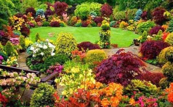 彩叶树种在广西园林的应用与投资价值 彩叶树种在广西园林的应用与投资价值