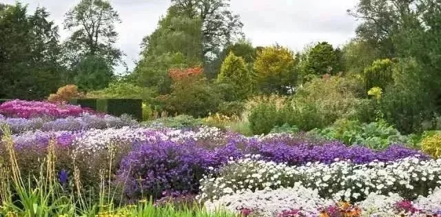 花境营造 · 绝对干货(图2)