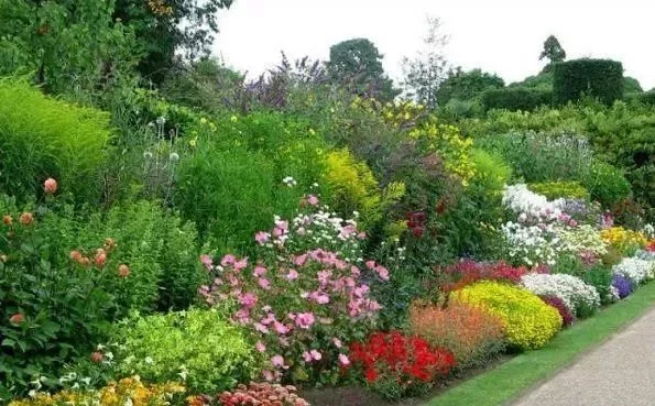 花境营造 · 绝对干货(图3)