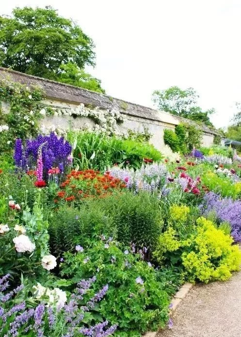 花境营造 · 绝对干货(图4)