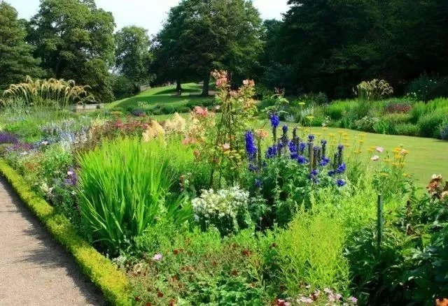 花境营造 · 绝对干货(图5)