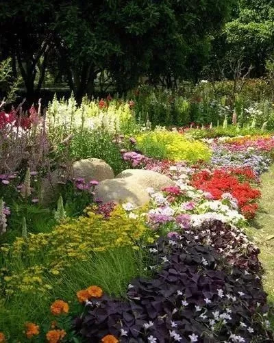 花境营造 · 绝对干货(图7)