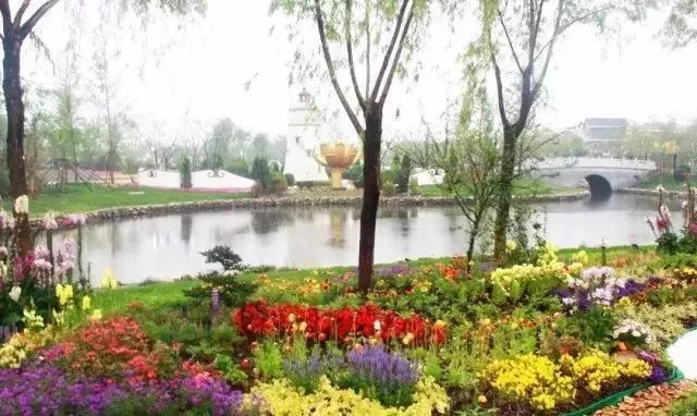 花境营造 · 绝对干货(图8)