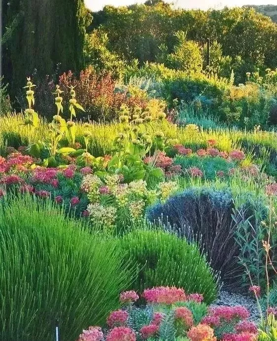 花境营造 · 绝对干货(图9)