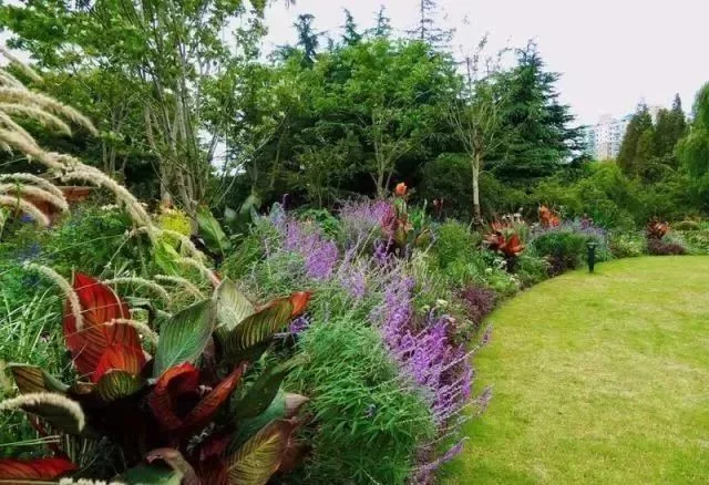 花境营造 · 绝对干货(图16)