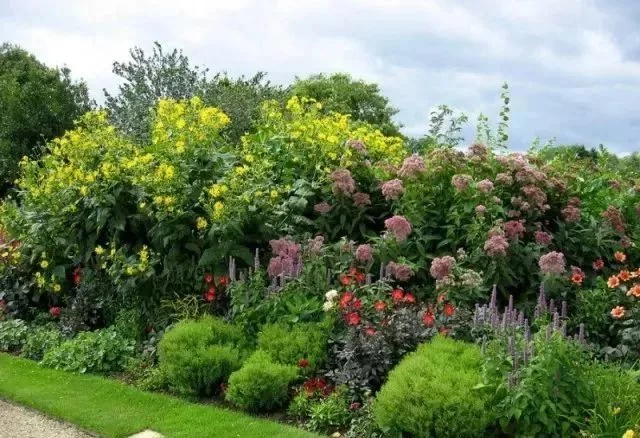 花境营造 · 绝对干货(图18)