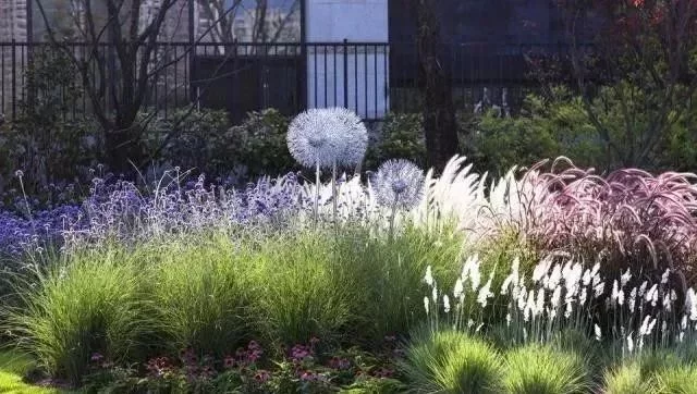 花境营造 · 绝对干货(图19)