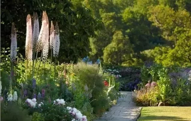 花境营造 · 绝对干货(图21)