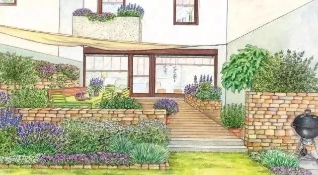 花境营造 · 绝对干货(图23)