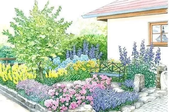 花境营造 · 绝对干货(图24)