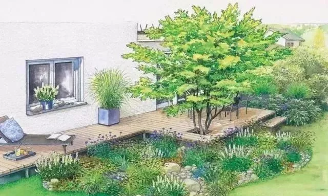 花境营造 · 绝对干货(图25)