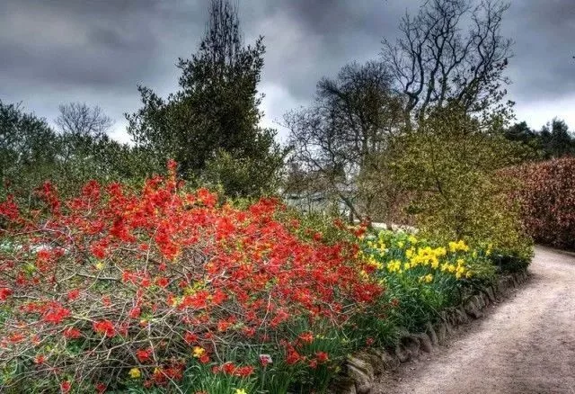 花境营造 · 绝对干货(图28)