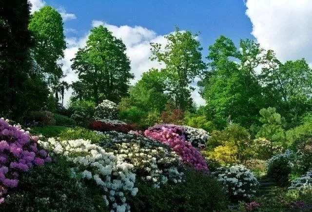 花境营造 · 绝对干货(图29)