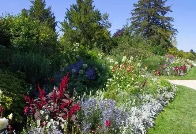 花境营造 · 绝对干货(图31)