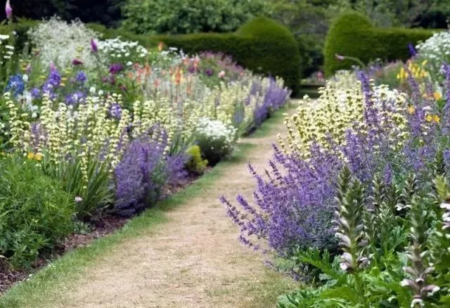 花境营造 · 绝对干货(图32)