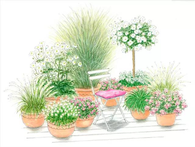 干货 | 36款花境设计平面图,33款花境实景图欣赏(图3) 干货 | 36款花境设计平面图,33款花境实景图欣赏(图3)