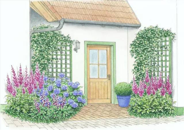 干货 | 36款花境设计平面图,33款花境实景图欣赏(图6) 干货 | 36款花境设计平面图,33款花境实景图欣赏(图6)