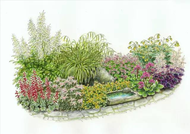 干货 | 36款花境设计平面图,33款花境实景图欣赏(图5) 干货 | 36款花境设计平面图,33款花境实景图欣赏(图5)