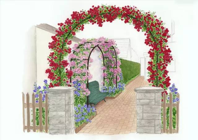 干货 | 36款花境设计平面图,33款花境实景图欣赏(图9) 干货 | 36款花境设计平面图,33款花境实景图欣赏(图9)