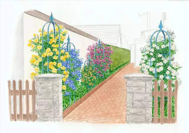 干货 | 36款花境设计平面图,33款花境实景图欣赏(图10) 干货 | 36款花境设计平面图,33款花境实景图欣赏(图10)