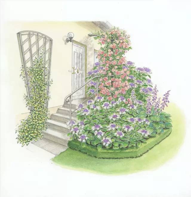 干货 | 36款花境设计平面图,33款花境实景图欣赏(图12) 干货 | 36款花境设计平面图,33款花境实景图欣赏(图12)