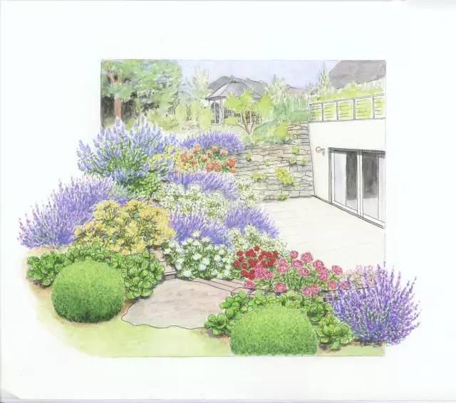 干货 | 36款花境设计平面图,33款花境实景图欣赏(图17) 干货 | 36款花境设计平面图,33款花境实景图欣赏(图17)