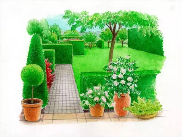 干货 | 36款花境设计平面图,33款花境实景图欣赏(图28) 干货 | 36款花境设计平面图,33款花境实景图欣赏(图28)