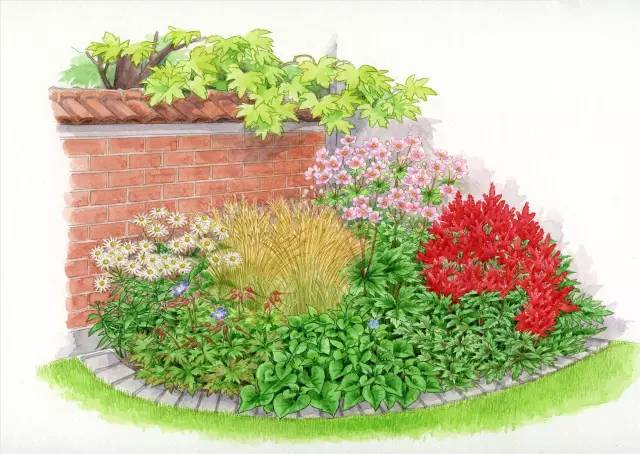 干货 | 36款花境设计平面图,33款花境实景图欣赏(图29) 干货 | 36款花境设计平面图,33款花境实景图欣赏(图29)