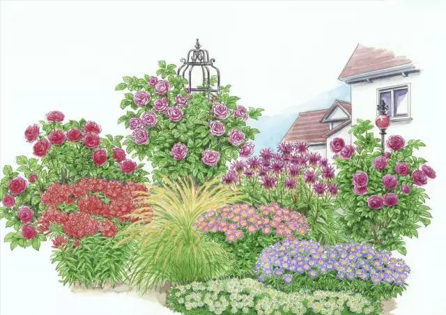 干货 | 36款花境设计平面图,33款花境实景图欣赏(图26) 干货 | 36款花境设计平面图,33款花境实景图欣赏(图26)