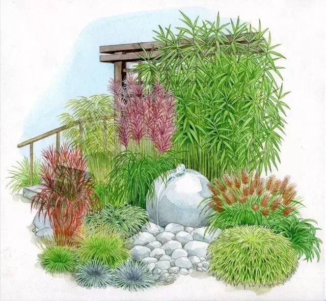 干货 | 36款花境设计平面图,33款花境实景图欣赏(图32) 干货 | 36款花境设计平面图,33款花境实景图欣赏(图32)