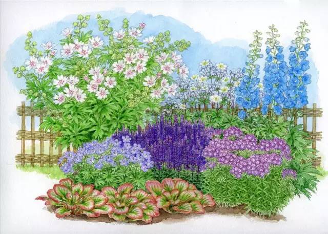 干货 | 36款花境设计平面图,33款花境实景图欣赏(图31) 干货 | 36款花境设计平面图,33款花境实景图欣赏(图31)