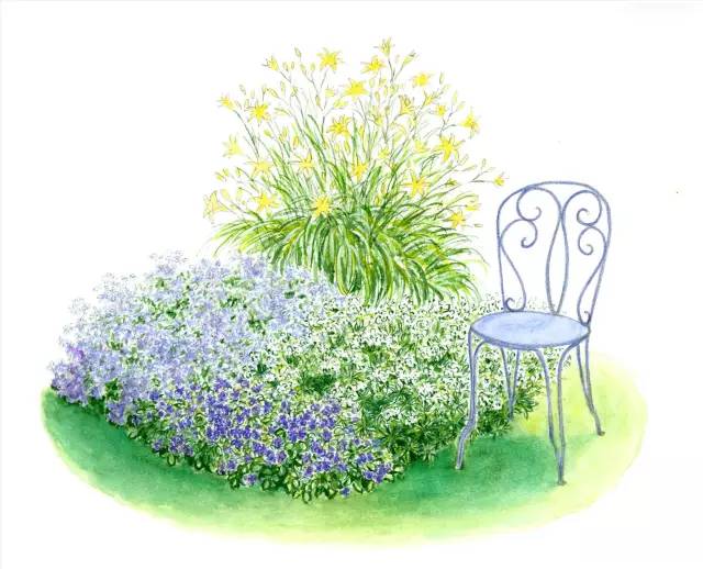 干货 | 36款花境设计平面图,33款花境实景图欣赏(图36) 干货 | 36款花境设计平面图,33款花境实景图欣赏(图36)