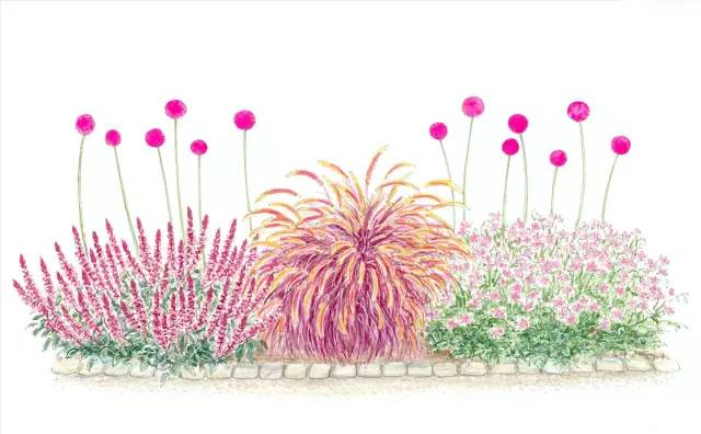 干货 | 36款花境设计平面图,33款花境实景图欣赏(图37) 干货 | 36款花境设计平面图,33款花境实景图欣赏(图37)