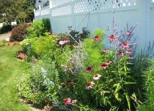 干货 | 36款花境设计平面图,33款花境实景图欣赏(图56) 干货 | 36款花境设计平面图,33款花境实景图欣赏(图56)