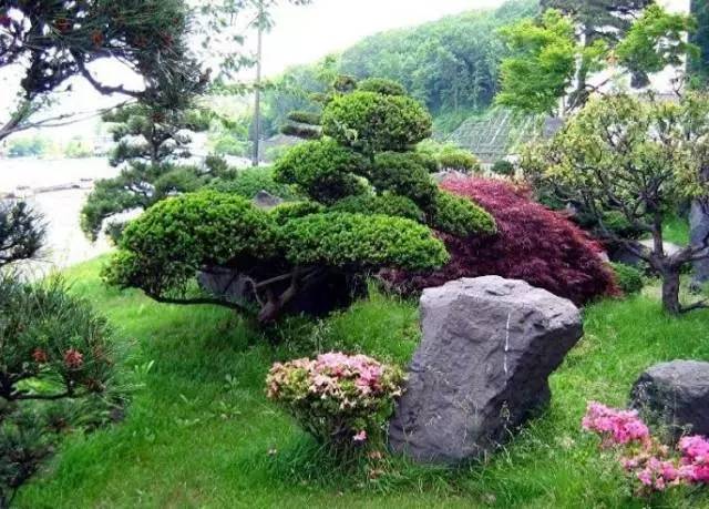 干货 | 36款花境设计平面图,33款花境实景图欣赏(图42) 干货 | 36款花境设计平面图,33款花境实景图欣赏(图42)