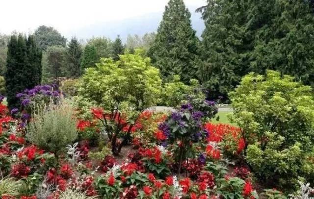 干货 | 36款花境设计平面图,33款花境实景图欣赏(图46) 干货 | 36款花境设计平面图,33款花境实景图欣赏(图46)