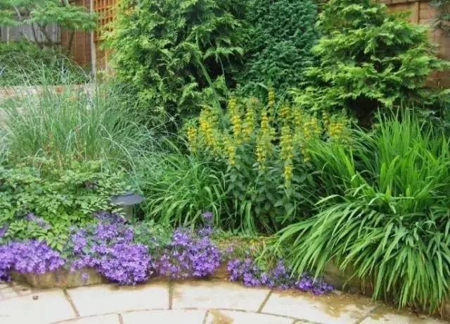 干货 | 36款花境设计平面图,33款花境实景图欣赏(图48) 干货 | 36款花境设计平面图,33款花境实景图欣赏(图48)