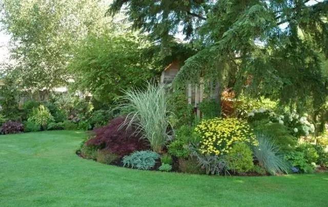 干货 | 36款花境设计平面图,33款花境实景图欣赏(图50) 干货 | 36款花境设计平面图,33款花境实景图欣赏(图50)