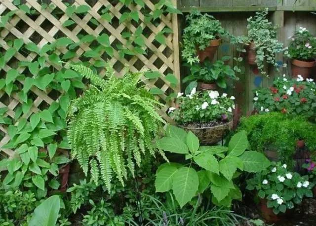 干货 | 36款花境设计平面图,33款花境实景图欣赏(图52) 干货 | 36款花境设计平面图,33款花境实景图欣赏(图52)