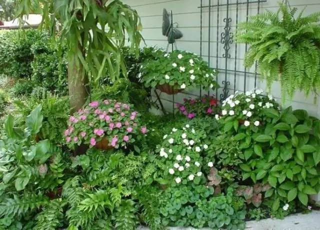 干货 | 36款花境设计平面图,33款花境实景图欣赏(图49) 干货 | 36款花境设计平面图,33款花境实景图欣赏(图49)