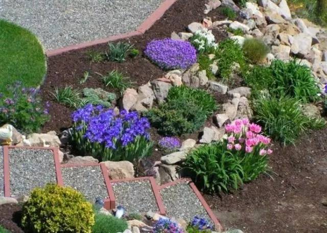 干货 | 36款花境设计平面图,33款花境实景图欣赏(图53) 干货 | 36款花境设计平面图,33款花境实景图欣赏(图53)