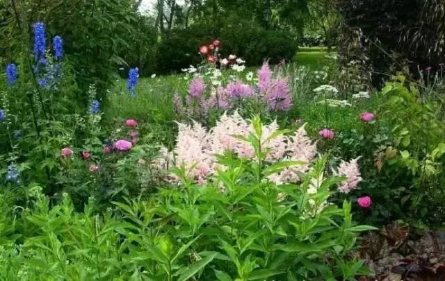 干货 | 36款花境设计平面图,33款花境实景图欣赏(图59) 干货 | 36款花境设计平面图,33款花境实景图欣赏(图59)