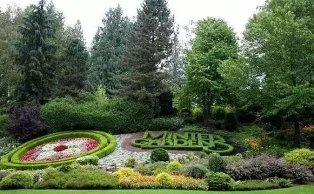 干货 | 36款花境设计平面图,33款花境实景图欣赏(图61) 干货 | 36款花境设计平面图,33款花境实景图欣赏(图61)