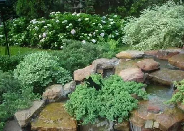 干货 | 36款花境设计平面图,33款花境实景图欣赏(图60) 干货 | 36款花境设计平面图,33款花境实景图欣赏(图60)