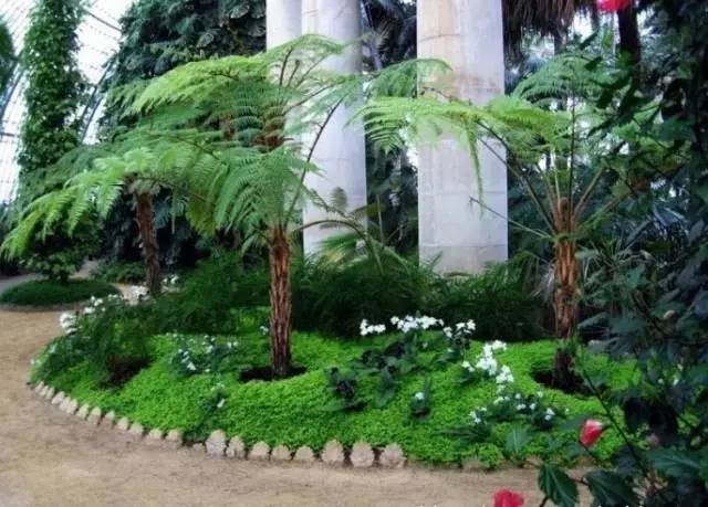 干货 | 36款花境设计平面图,33款花境实景图欣赏(图57) 干货 | 36款花境设计平面图,33款花境实景图欣赏(图57)