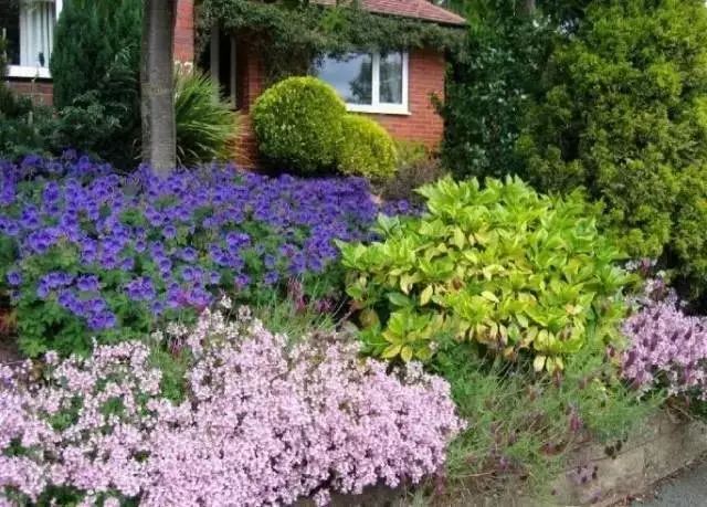 干货 | 36款花境设计平面图,33款花境实景图欣赏(图65) 干货 | 36款花境设计平面图,33款花境实景图欣赏(图65)