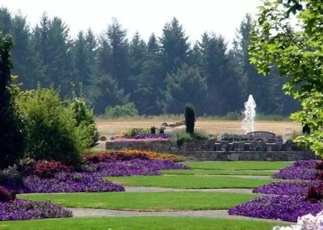 干货 | 36款花境设计平面图,33款花境实景图欣赏(图63) 干货 | 36款花境设计平面图,33款花境实景图欣赏(图63)