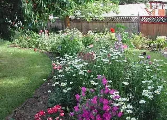 干货 | 36款花境设计平面图,33款花境实景图欣赏(图62) 干货 | 36款花境设计平面图,33款花境实景图欣赏(图62)