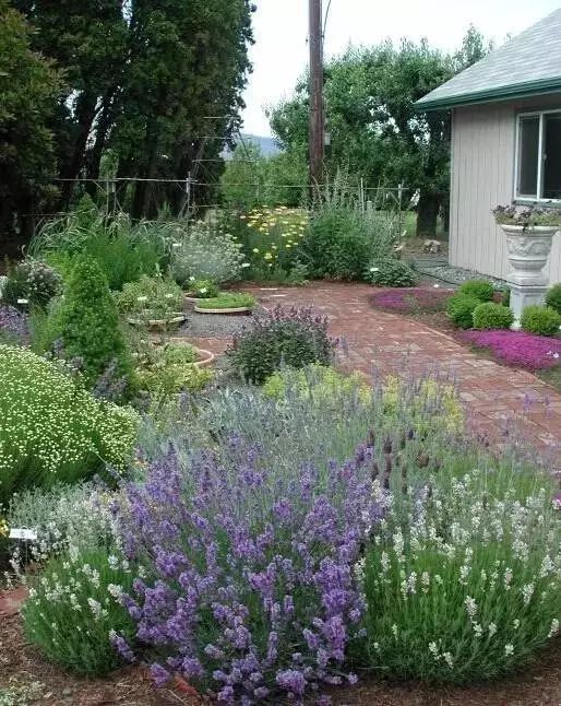 干货 | 36款花境设计平面图,33款花境实景图欣赏(图69) 干货 | 36款花境设计平面图,33款花境实景图欣赏(图69)