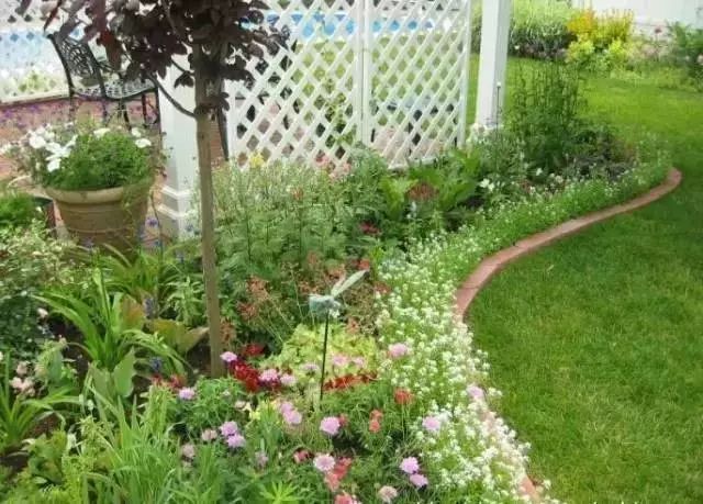 干货 | 36款花境设计平面图,33款花境实景图欣赏(图67) 干货 | 36款花境设计平面图,33款花境实景图欣赏(图67)